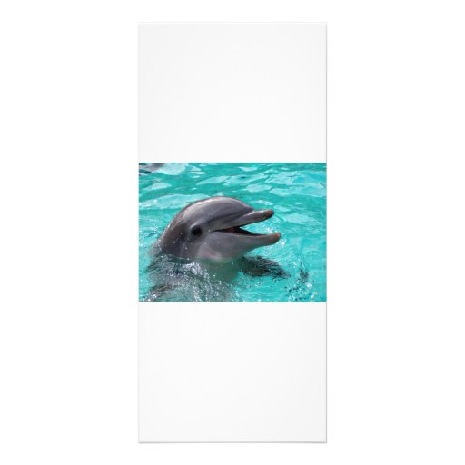 Dolphin head in aquamarine water customized rack card