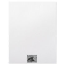 Dolphin head in water mouth open Black and White Letterhead Design