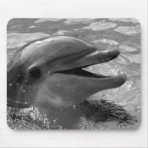 Dolphin head in water mouth open Black and White Mouse Pad