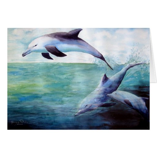 Dolphin images Card