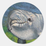 DOLPHIN IN COLOR PENCIL STICKERS