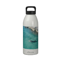 Dolphin in Mexico Drinking Bottles