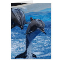 Dolphin Jumping  Greeting Card