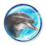 Dolphin magnet
