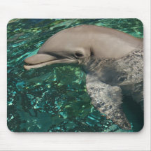 dolphin mouse pads