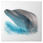 Dolphin Nose Tile (2) sizes