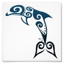 Dolphin Photograph