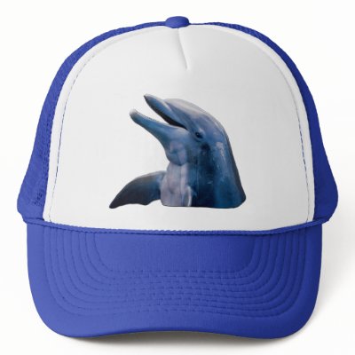 Dolphin Picture Hat by kphotos