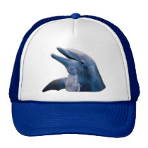 Dolphin Picture hats