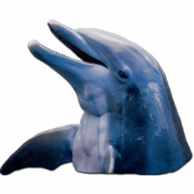 Dolphin Picture Photo Sculpture