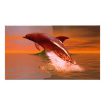 Dolphin Planet Photographic Print