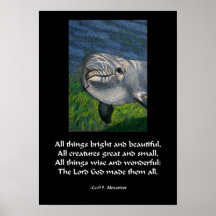 DOLPHIN POSTER