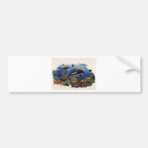 Dolphin Reef Aquatic Bumper Stickers