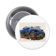 Dolphin Reef Aquatic Pinback Button
