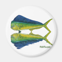 Dolphin Reflection by FishTs.com Fridge Magnet