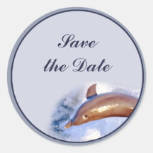 Dolphin Round Stickers