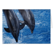 Dolphin Show Greeting Card