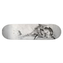 Dolphin Skateboard