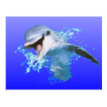 Dolphin Smiling Post Cards