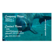 Dolphin Star Business Cards