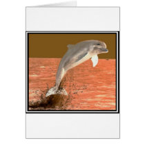 Dolphin Sun Cards