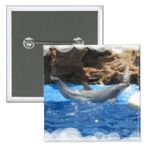 Dolphin Tricks Square Pin