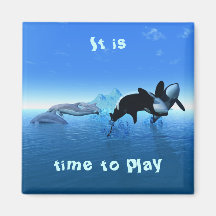 Dolphins and Orca's Magnet