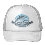 Dolphins and Sea Park Hat