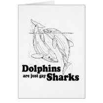 Dolphins are gay sharks