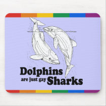 Dolphins are gay sharks
