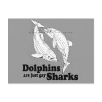 Dolphins are gay sharks