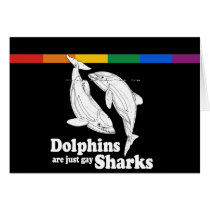 Dolphins are just gay sharks