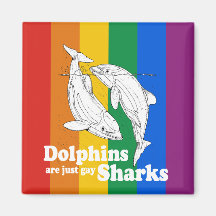 Dolphins are just gay sharks magnets