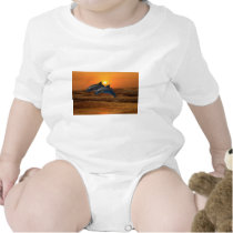 Dolphins at sunset bodysuit