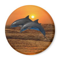 Dolphins at sunset fridge magnets