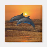 Dolphins at sunset refrigerator magnets