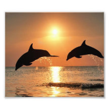 Dolphins by Sunset Photograph