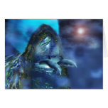 Dolphins Card