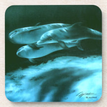 Dolphins  coaster