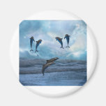Dolphins fantasy magnet