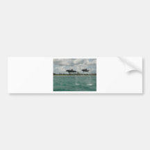 dolphins flying in the seas bumper sticker