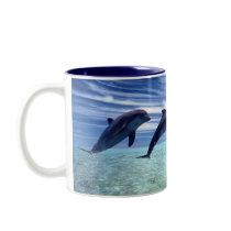 Dolphins Galore Mugs