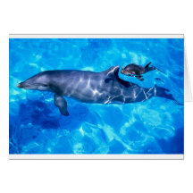 dolphins greeting card