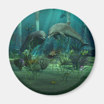 Dolphins Magnet