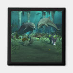 Dolphins Magnet