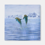 Dolphins make ripples magnets