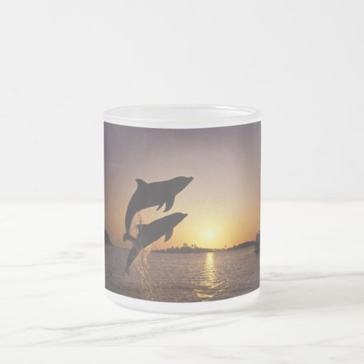 Dolphins Mug