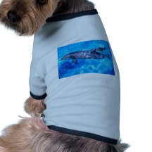 dolphins pet shirt