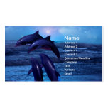 Dolphins playing in the ocean business card template