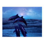 Dolphins playing in the ocean post cards